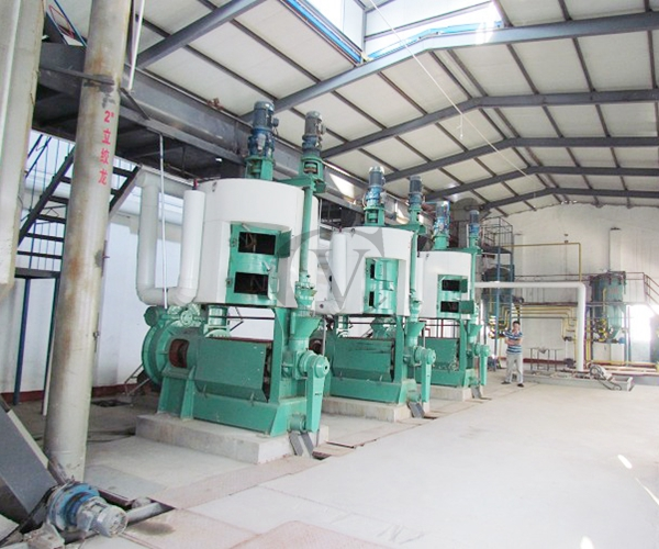 Edible Oil Pressing Line