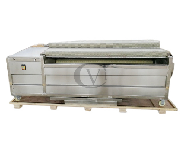 Vegetable Washing and Peeling Machine